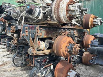 International Cutoff