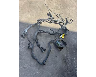 Engine Wiring Harness