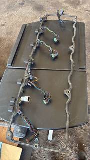 Engine Wiring Harness