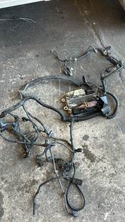 Engine Wiring Harness