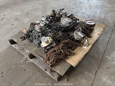 Lot of Industrial Chain Hoist Ratchet Lever Rigging Lifting Winch Tool bidadoo