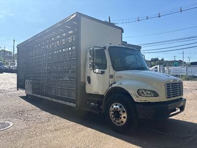 Freightliner M2 Single Axle Curtain Side Truck - Cummins, 250HP, 7 Speed Automatic