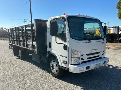 Isuzu NQR Flatbed Truck - 215HP, 6 Speed Automatic