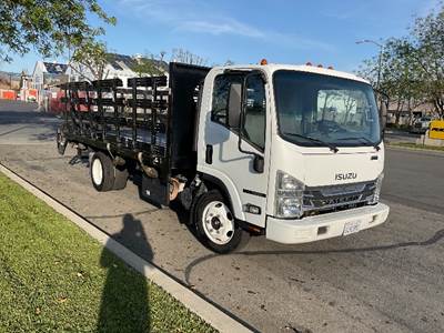 Isuzu NQR Flatbed Truck - 215HP, 6 Speed Automatic