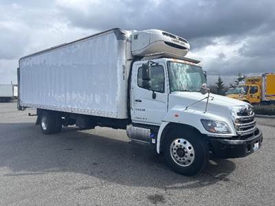 Hino 338 Refrigerated Truck - 260HP, 6 Speed Automatic, Thermo King T880R-50