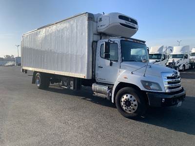 Hino 338 Refrigerated Truck - 260HP, 6 Speed Automatic