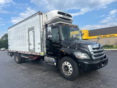 Hino 338 Refrigerated Truck - 260HP, 6 Speed Automatic, Thermo King T1080S50