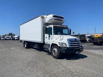 Hino 338 Refrigerated Truck - 260HP, 6 Speed Automatic