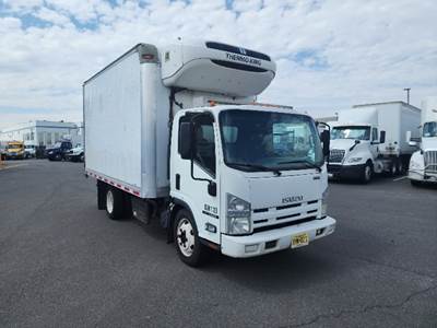 Isuzu NQR Refrigerated Truck - 210HP
