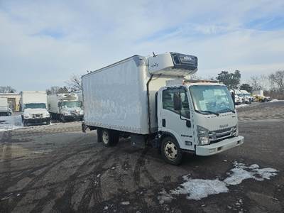 Isuzu NQR Refrigerated Truck - 215HP, 6 Speed Automatic