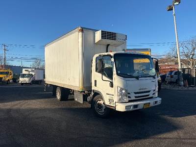 Isuzu NQR Refrigerated Truck - 215HP, 6 Speed Automatic