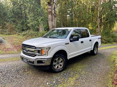 2019 Ford F-150 XLT Crew Cab Truck