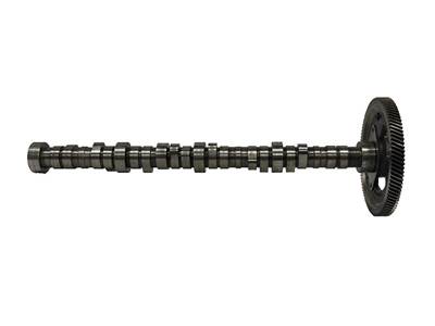 International T444E Camshaft