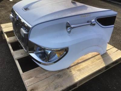 International TerraStar Hood