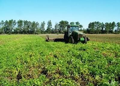 Loftness 180 Flail Mower / Stalk Chopper