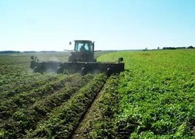 Loftness 216 Flail Mower / Stalk Chopper