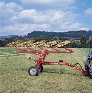 Sitrex QR8 Hay Rake