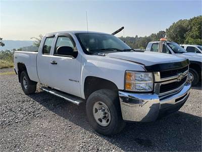 2009 Chevrolet Truck