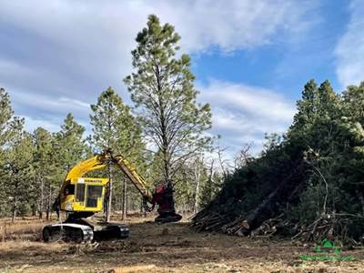 2014 Komatsu XT430L-2 Feller Buncher - Quadco 24B Hotsaw