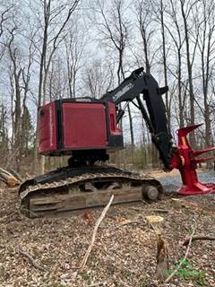 2019 TimberPro TL735D Feller Buncher - Quadco 22