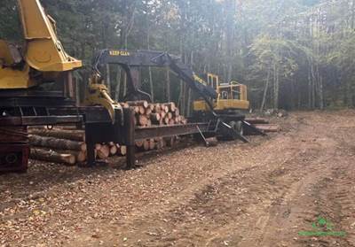2005 Tigercat 244 Log Loader - CTR Delimber