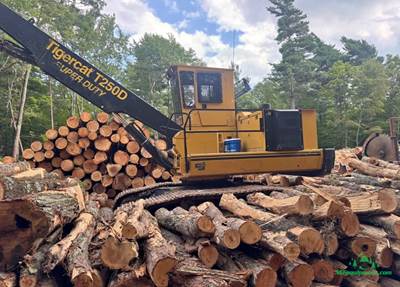 2021 Tigercat T250D Tracked Log Loader - Grapple