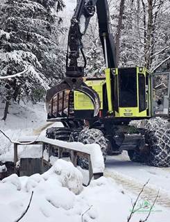 2016 TimberPro TF830C Logging Processor - Processor