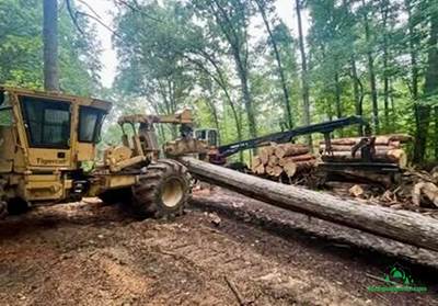 2006 Tigercat 620C Skidder