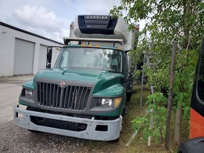 International TerraStar Hood