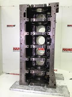 Cummins 4896539 Engine