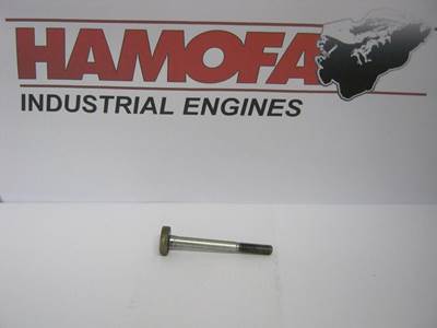 Bosch CILINDERKOPSCHROEF 1 413 414 009 NEW