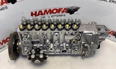 Bosch FUEL PUMP 0 402 698 812 REBUILD