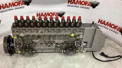 Bosch FUEL PUMP 0 402 810 800 REBUILD