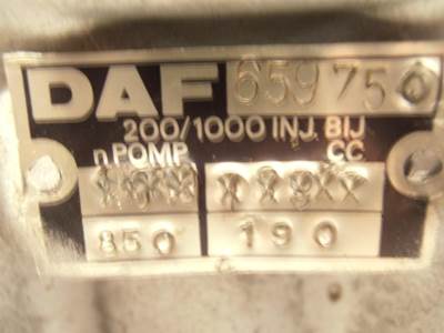 Bosch FUEL PUMP 0401876255 REBUILD