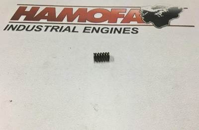 Bosch *NOZZLE SPRING F 00V C09 023 NEW