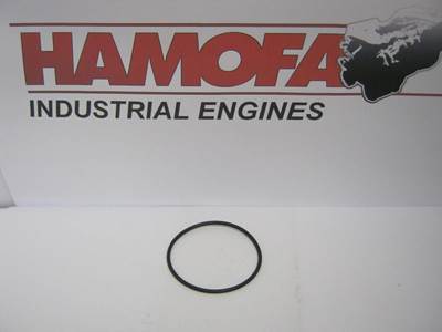 Bosch O-RING / SEAL 1410210053 NEW