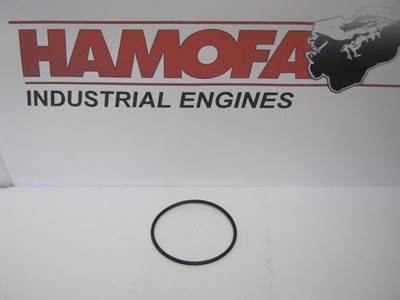 Bosch O-RING 1 410 210 053 NEW