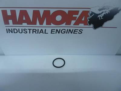 Bosch O-RING 1420210022 NEW