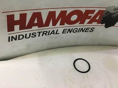 Caterpillar O-RING 1079570 NEW