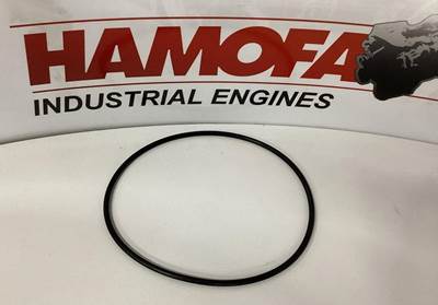 Caterpillar O-RING 5F3999 NEW