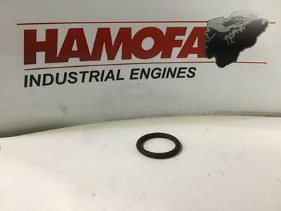 Caterpillar O-RING 6V9769 NEW