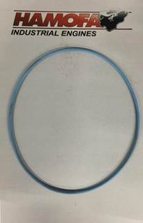 Caterpillar O-RING OLIEPOMP 2986387 NEW