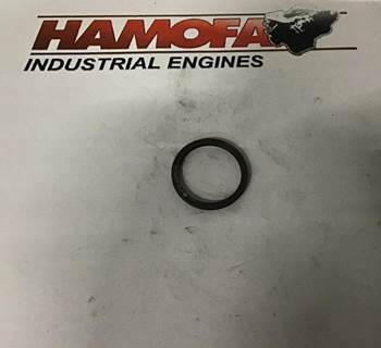 Caterpillar O RING VERVROEGER 4W0435 NEW