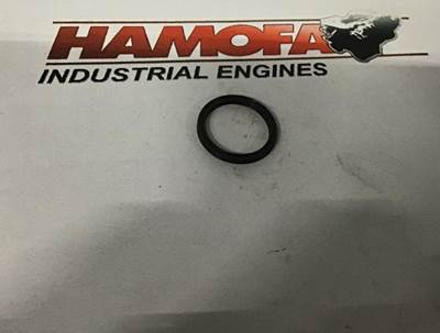 Caterpillar O RING VERVROEGER 4W4616 NEW