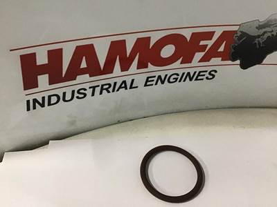 Caterpillar SEAL, O-RING 6V-3831 NEW