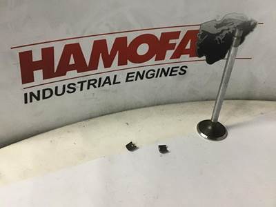 Cummins CUM - Kit - Valve - Exhaust 3800341 NEW