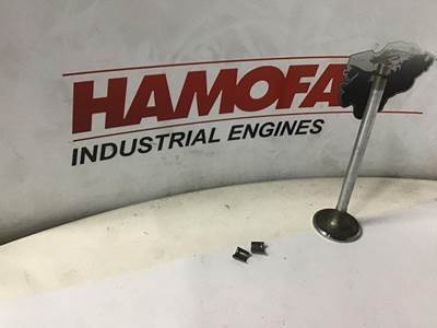 Cummins CUM - Kit - Valve - Intake 3800340 NEW