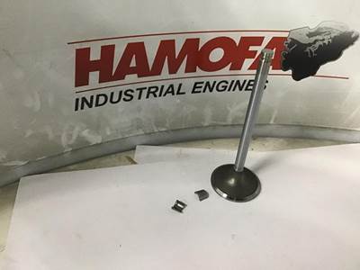 Cummins CUM - Kit - Valve - Intake 3802083 NEW