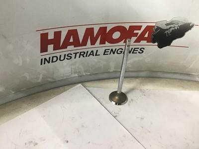 Cummins EXHAUST VALVE 3969637 NEW