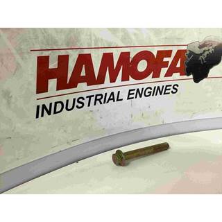 Cummins HEXAGON FLANGE BOLT 3896408 NEW